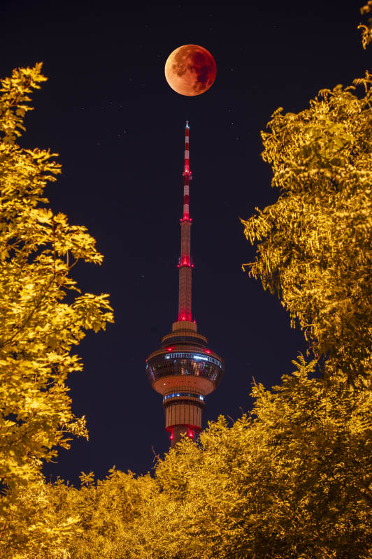 月夜塔影 秋叶映辉图片