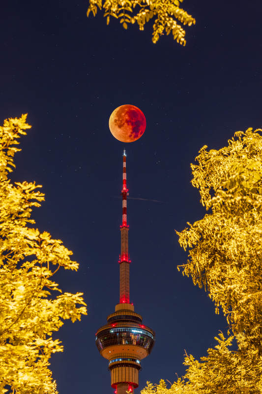 塔尖上的血月夜景图片