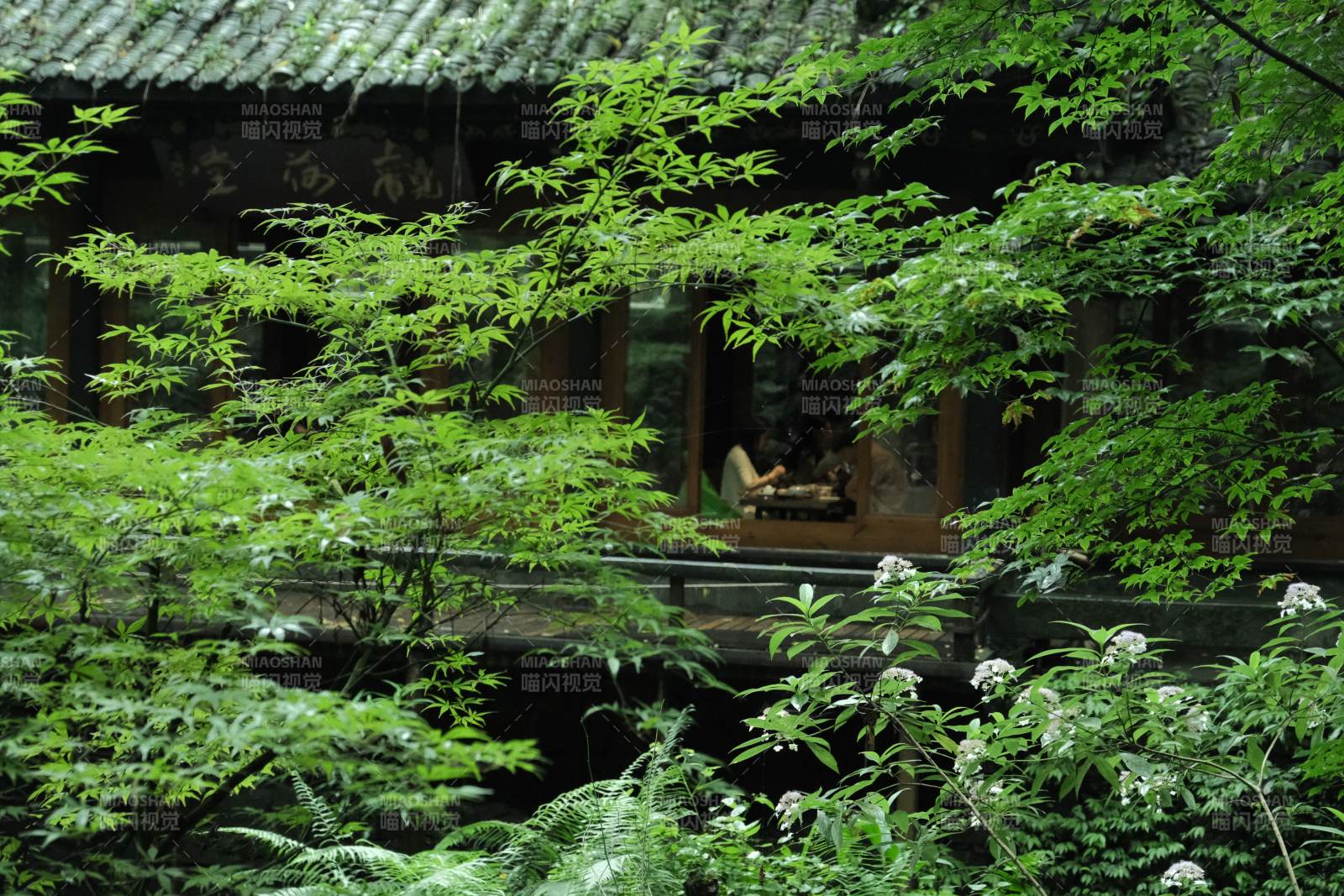 绿意盎然的庭院一角图片