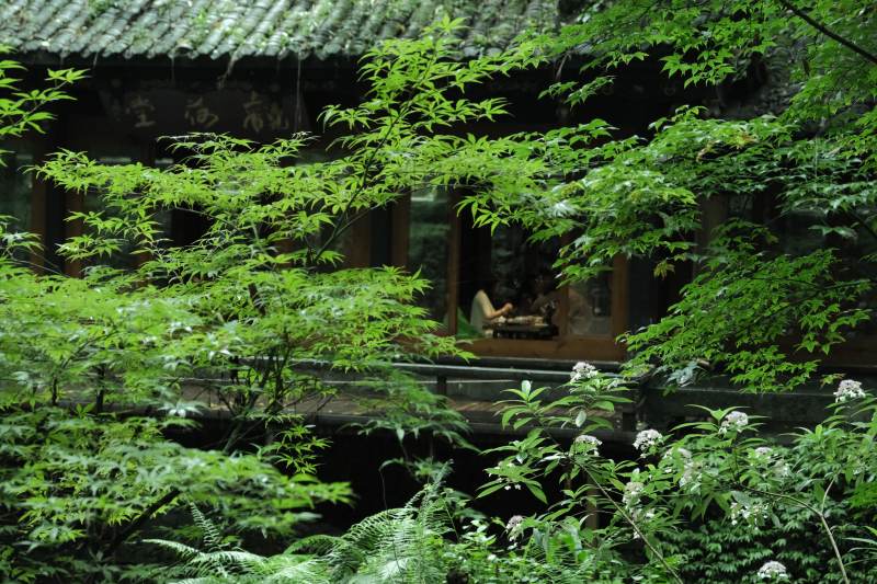 绿意盎然的庭院一角图片