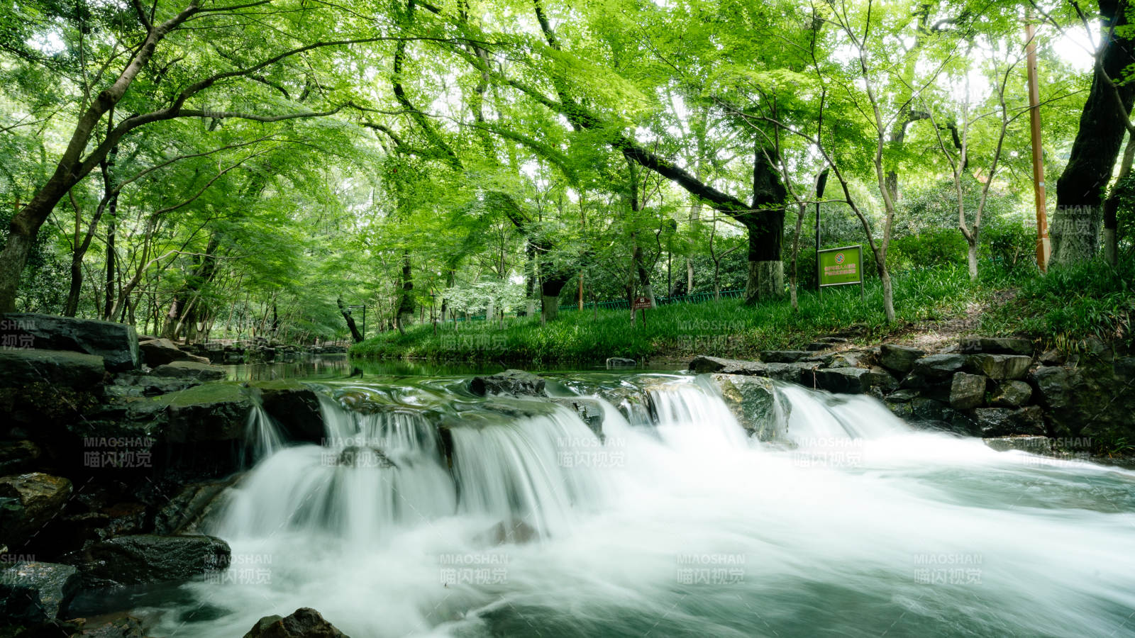 绿林溪流 静谧自然图片
