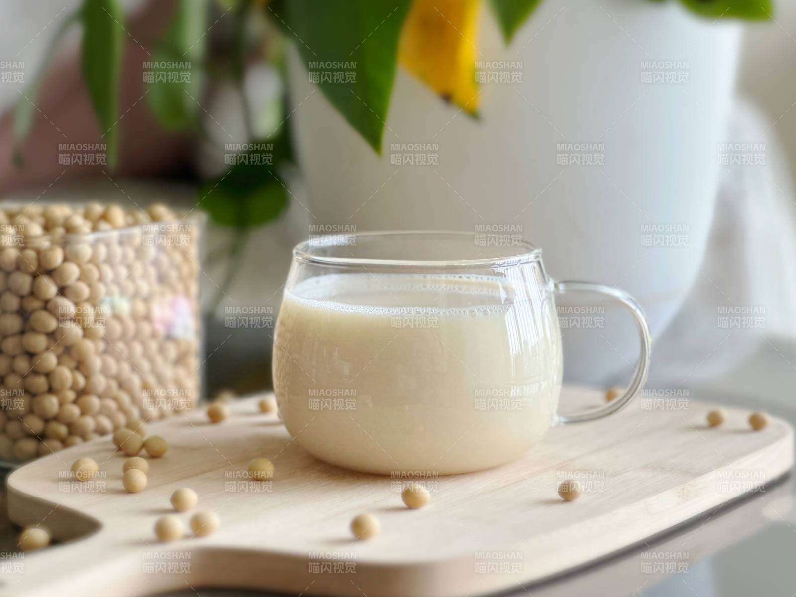 豆浆与大豆的静谧时光图片