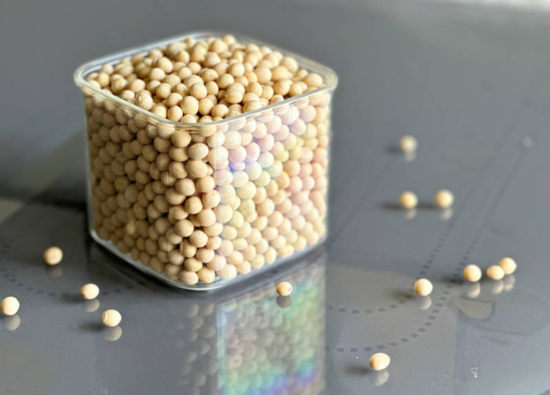 大豆粒装透明盒中图片