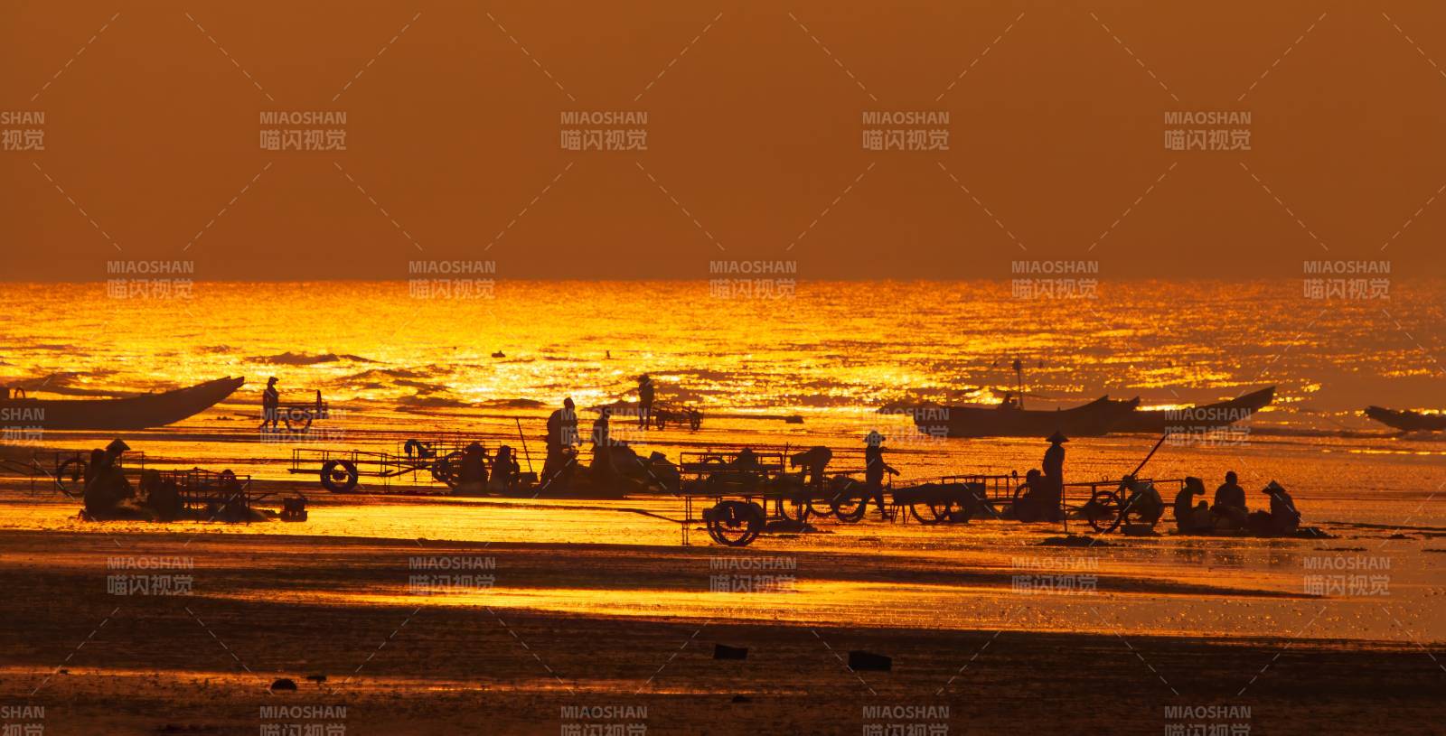 金滩赶海图图片