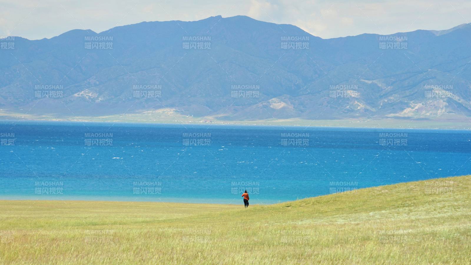 赛里木湖湖畔孤影图片