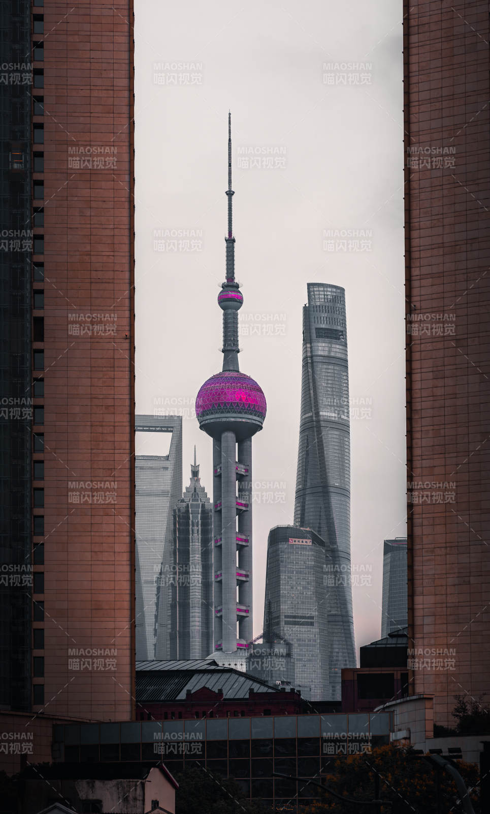 上海东方明珠与高楼群影图片