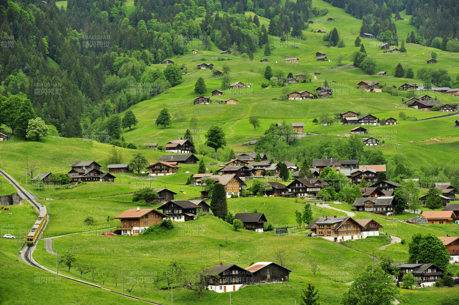 瑞士乡村风光 绿色草坪图片