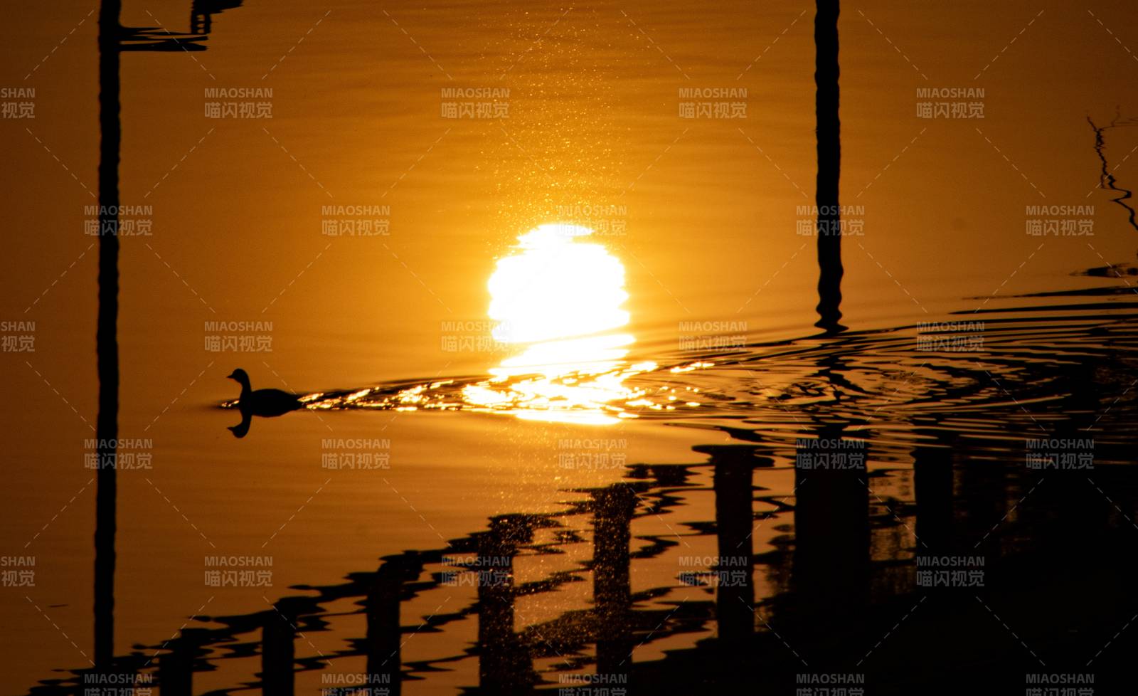 夕阳下的湖面倒影图片