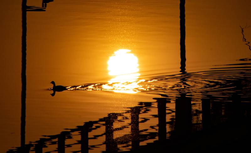 夕阳下的湖面倒影图片