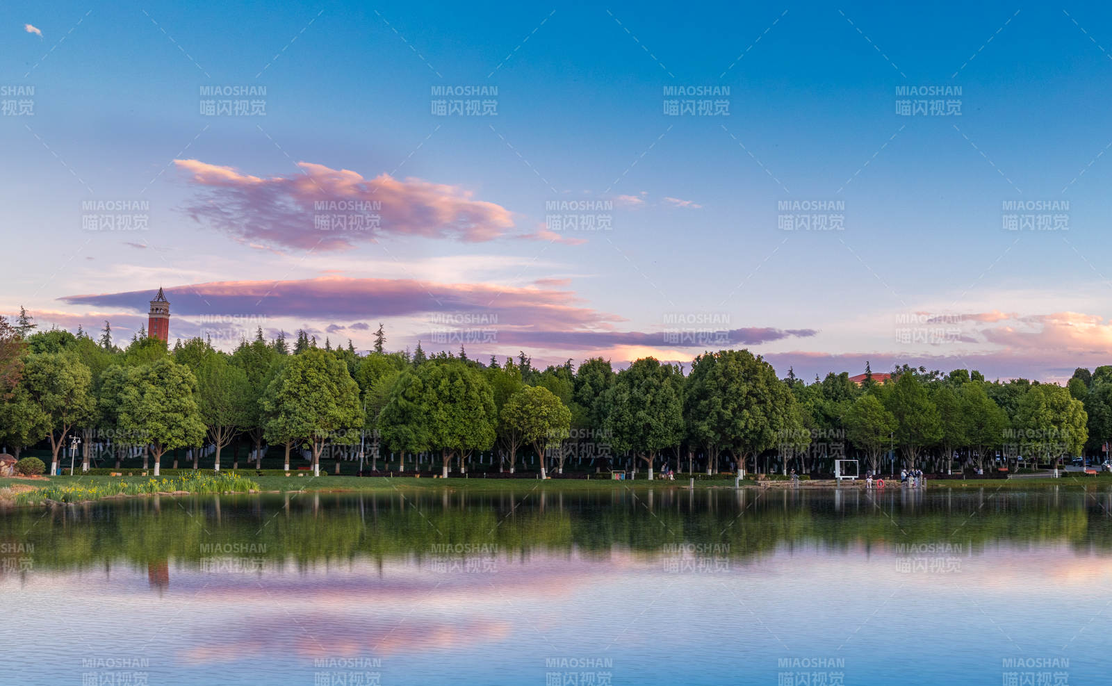 云南大学泽湖夕阳 树影婆娑图片
