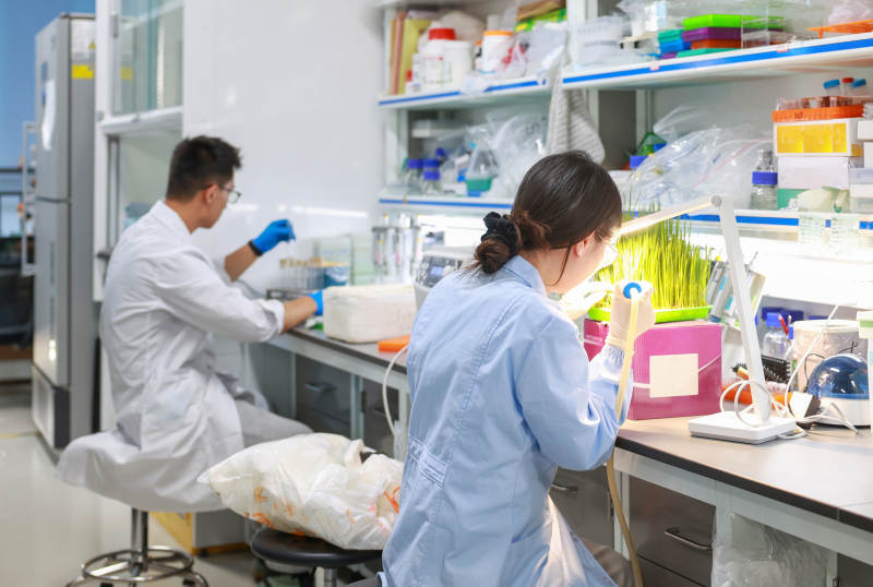 实验室科研人员工作场景图片