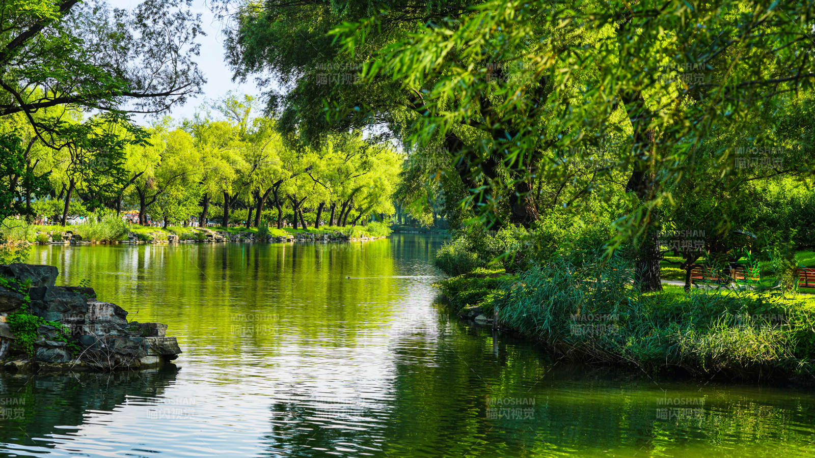 颐和园绿树成荫的湖畔风光图片