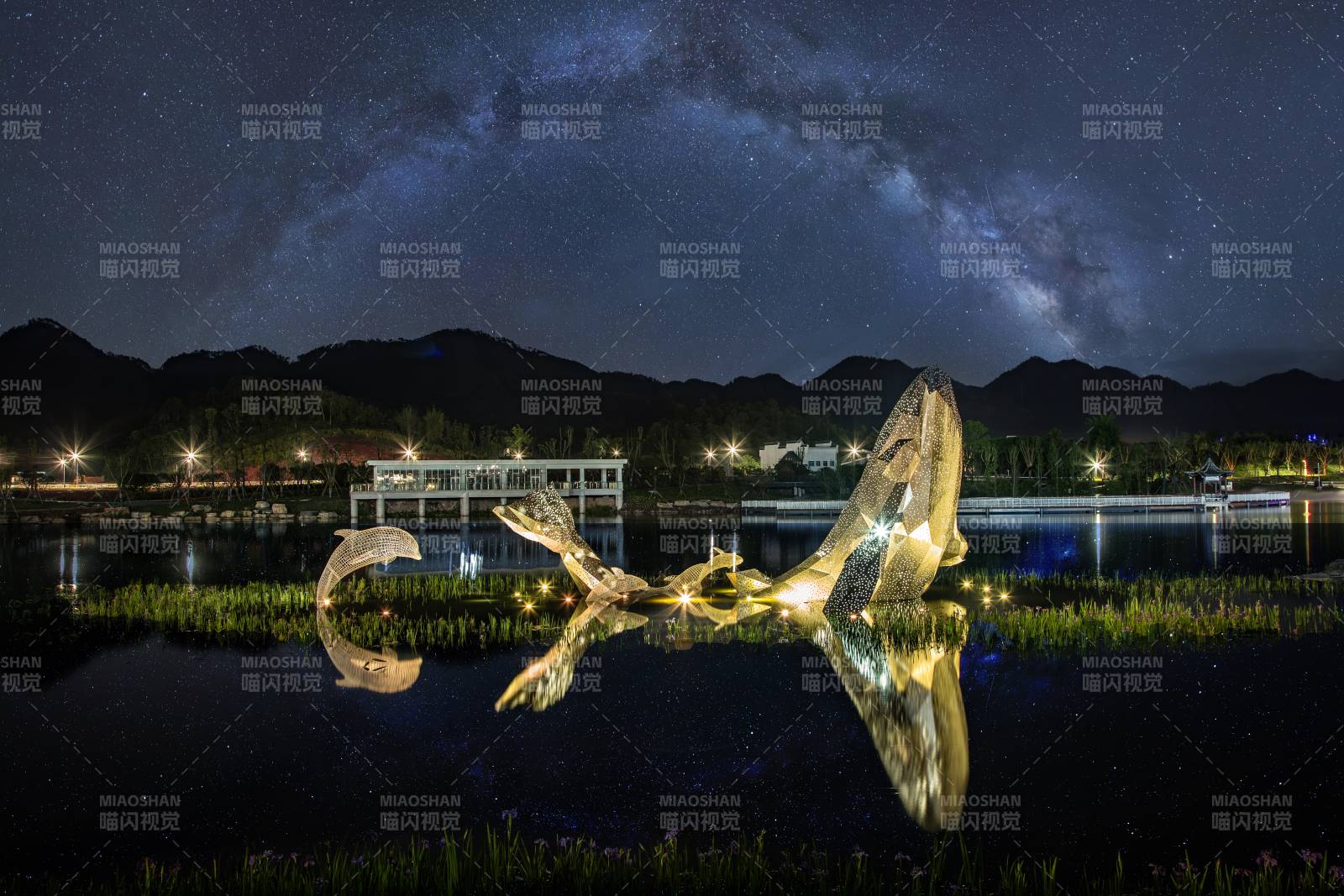 星河下的鲸鱼雕塑图片