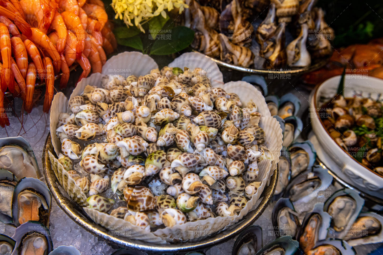 海鲜盛宴 螺类与虾图片