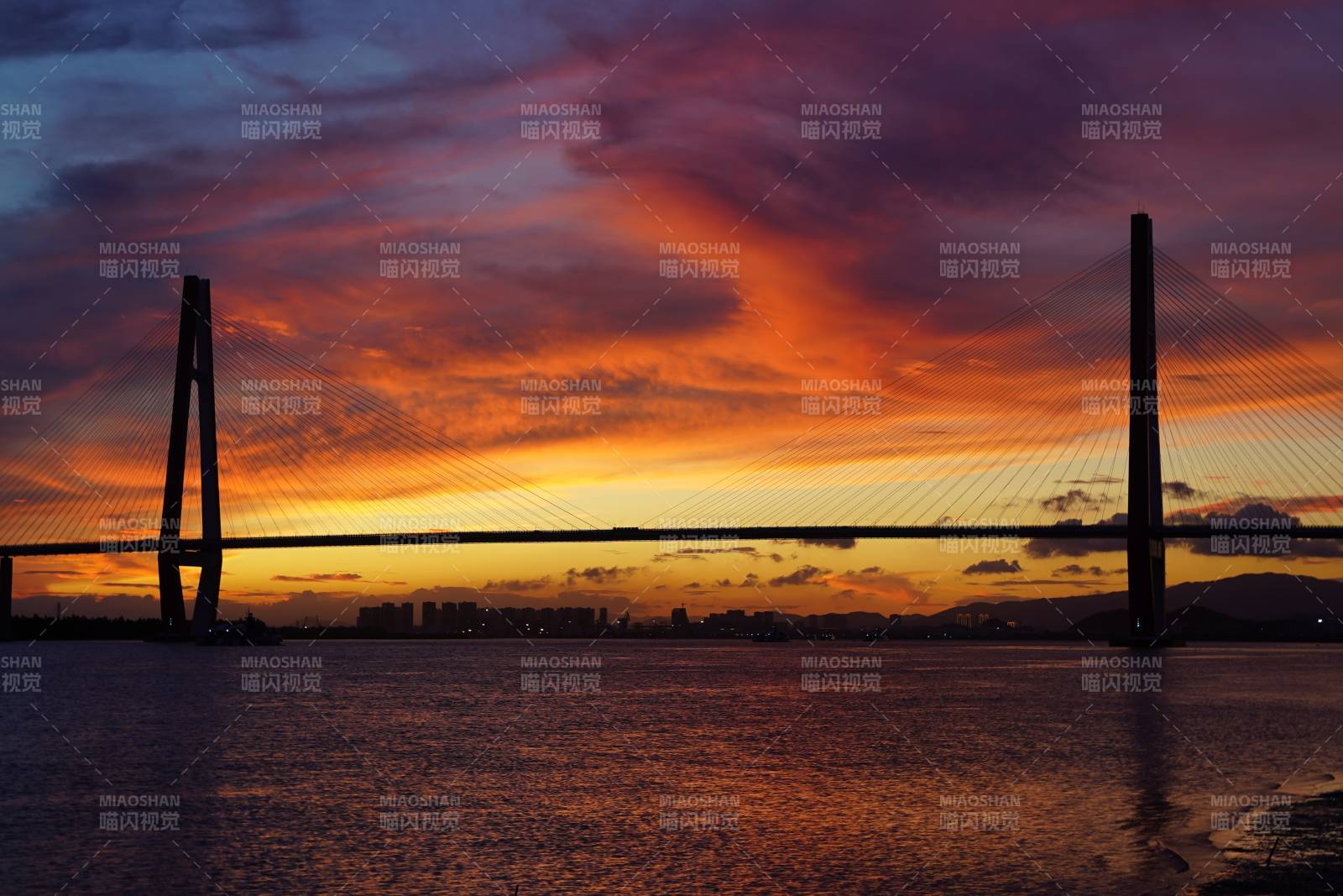 夕阳下的银洲湖特大桥图片