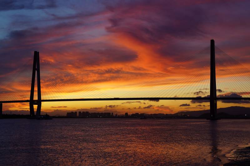 夕阳下的银洲湖特大桥图片