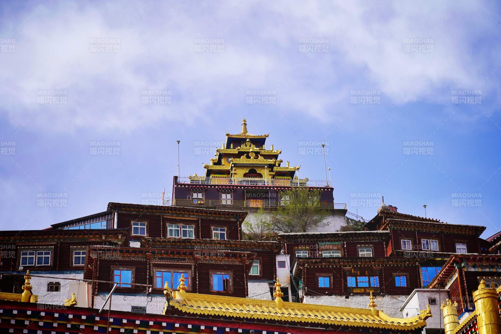 仰望白玉寺图片