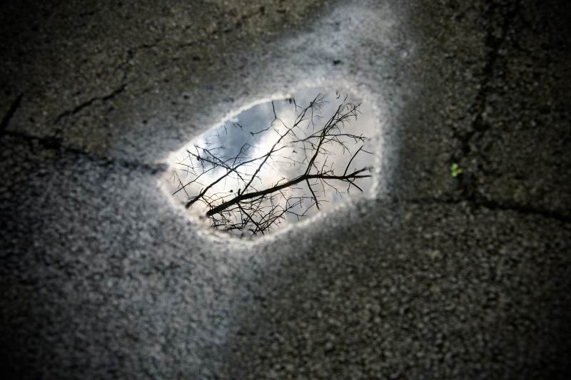 树影映入地面孔洞中图片