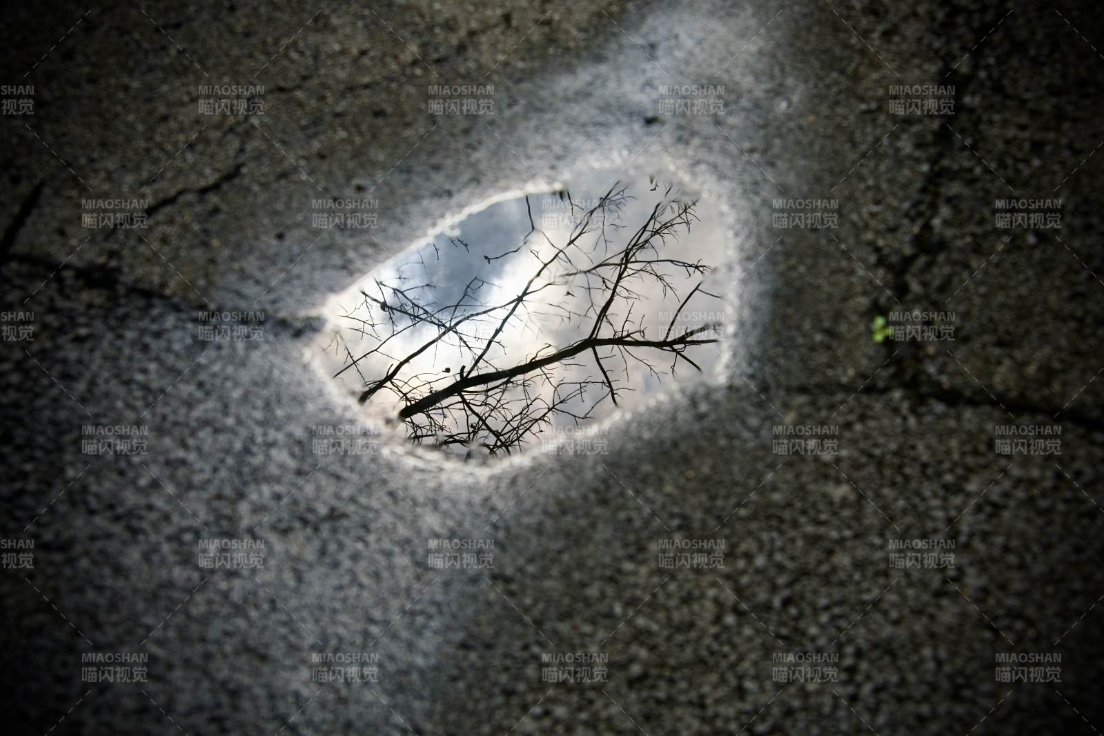 树影映入地面孔洞中图片
