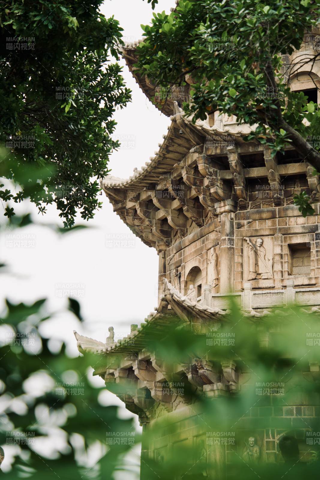 泉州古塔绿树相映成趣图片