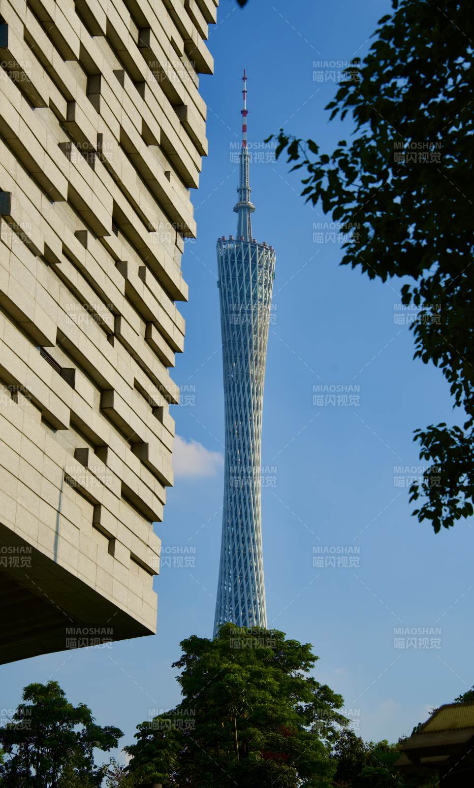 广州塔与现代建筑图片