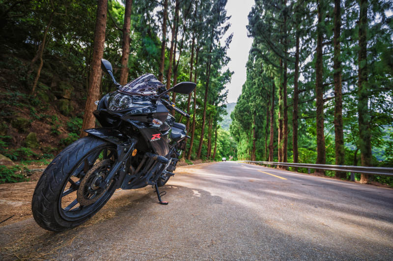 林间公路 静止的疾风图片