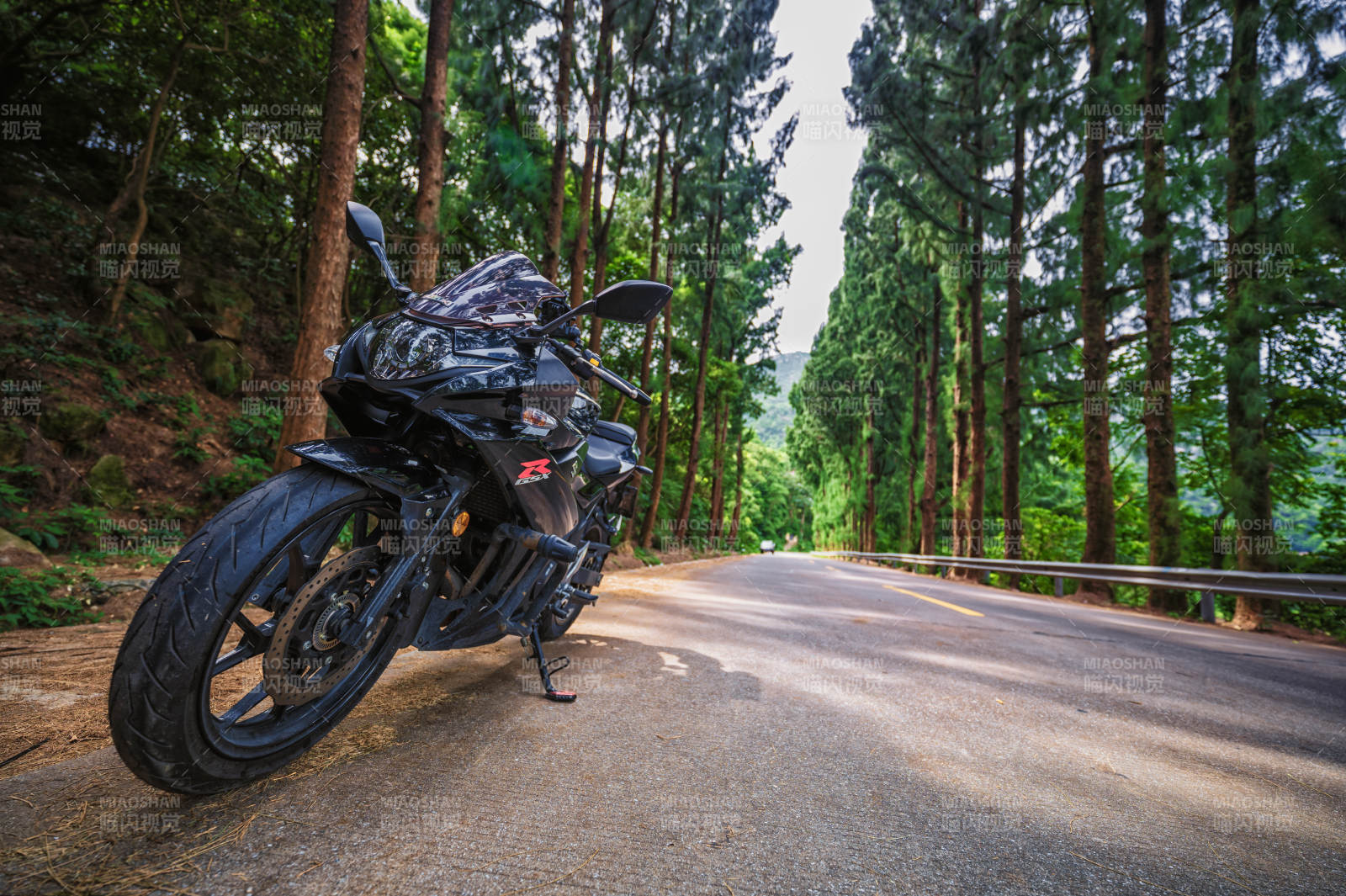 林间公路 静止的疾风图片