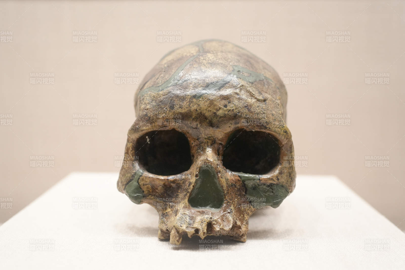 古铜色头骨雕塑楚雄博物馆图片