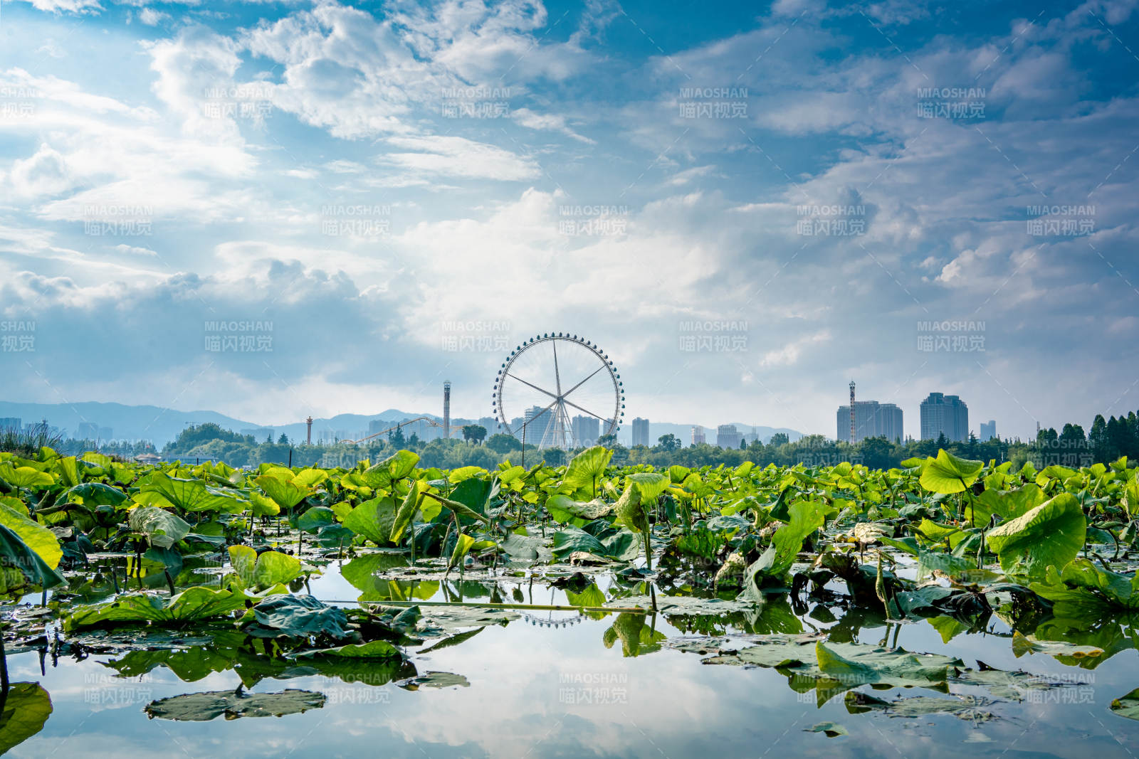 滇池湖畔摩天轮 绿意盎然图片
