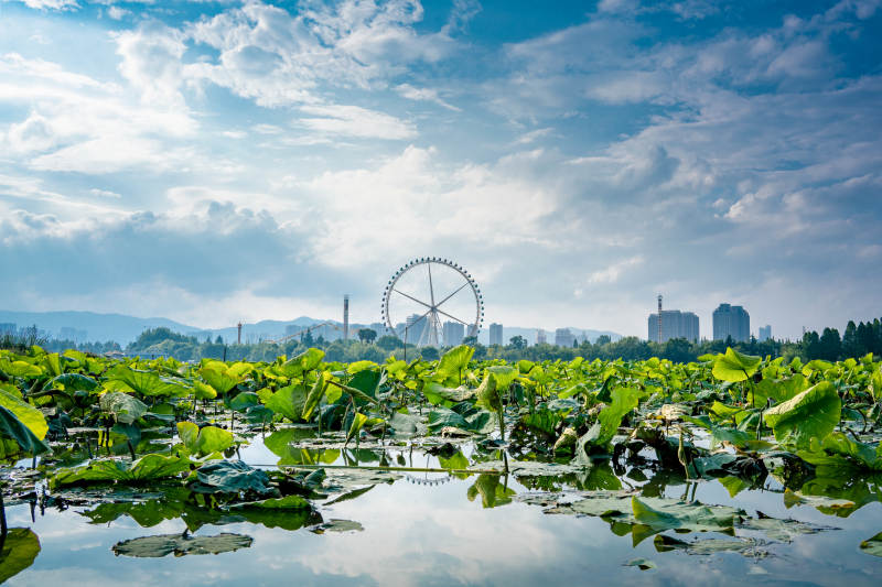 滇池湖畔摩天轮 绿意盎然图片