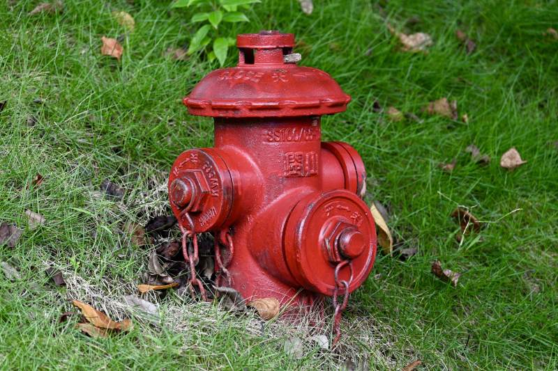 草地中的红色消防栓图片