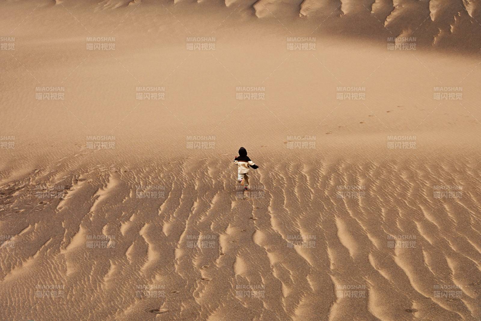 沙漠中的孤独行者（罗布泊无人区）图片