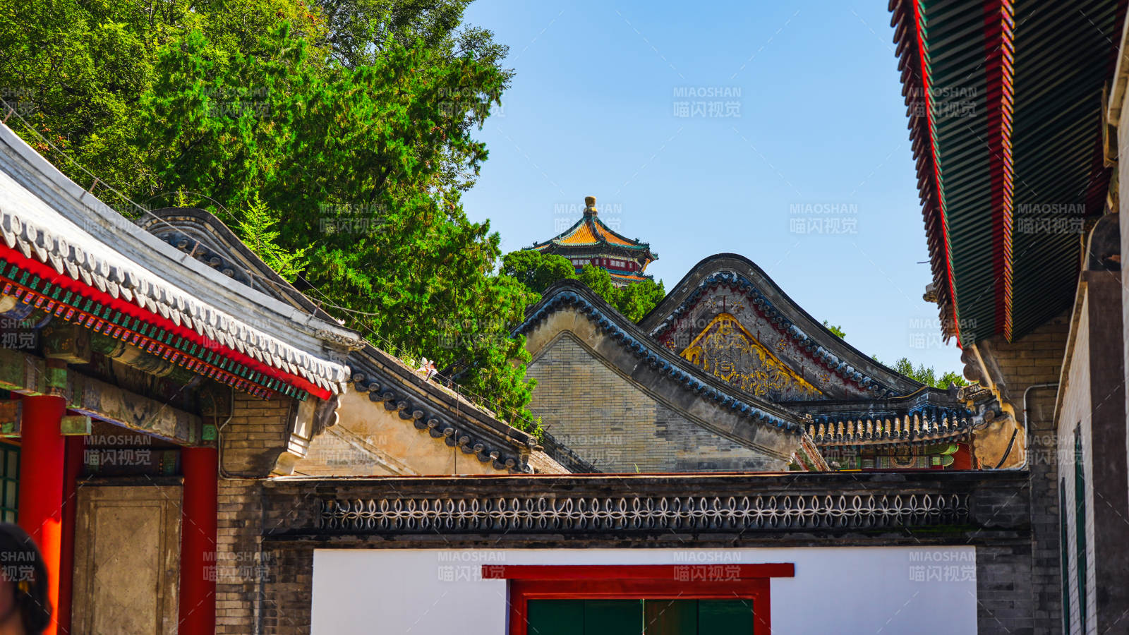 颐和园古建筑群与绿树相映成趣图片