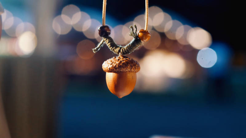 悬挂的橡果夜景装饰图片