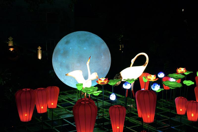 夜景灯笼与鹤影共舞图片