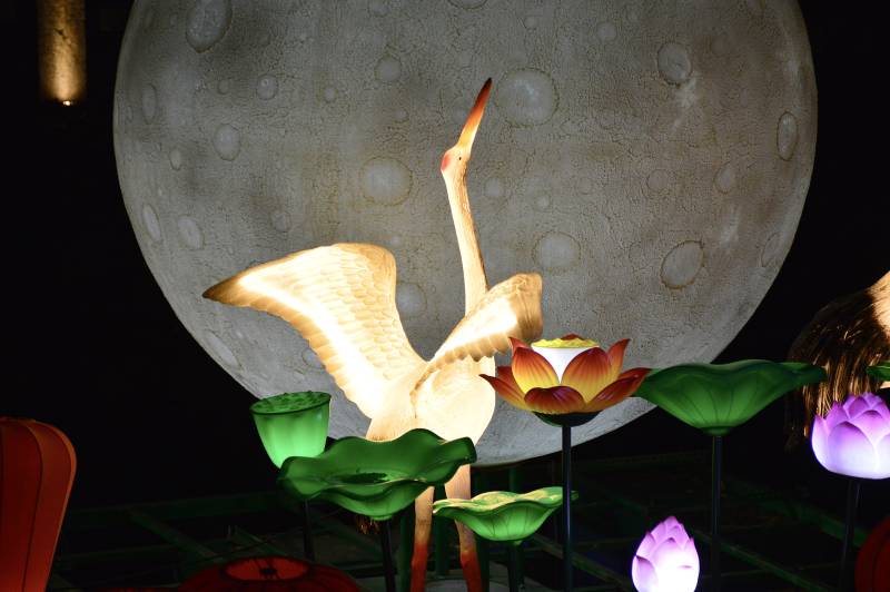 月夜鹤舞莲花灯影图片