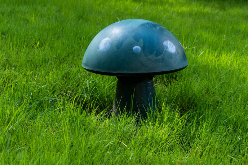 草地上的绿色蘑菇装饰品图片