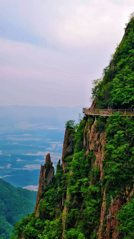 悬崖栈道 绿意盎然 凤凰山图片