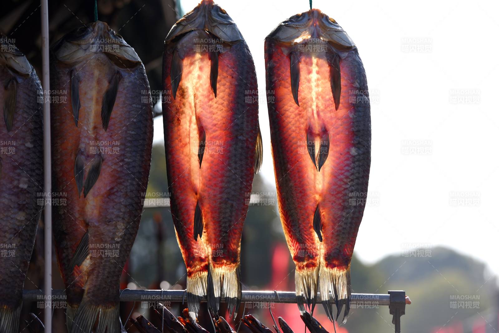 晒干的鱼 传统风味图片
