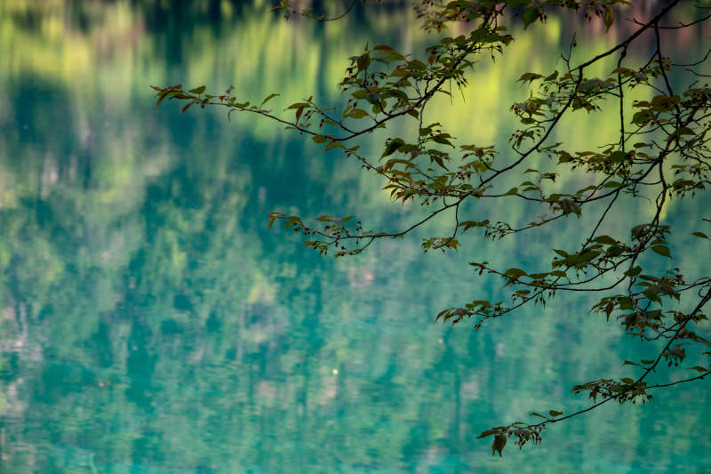 九寨沟金铃海图片