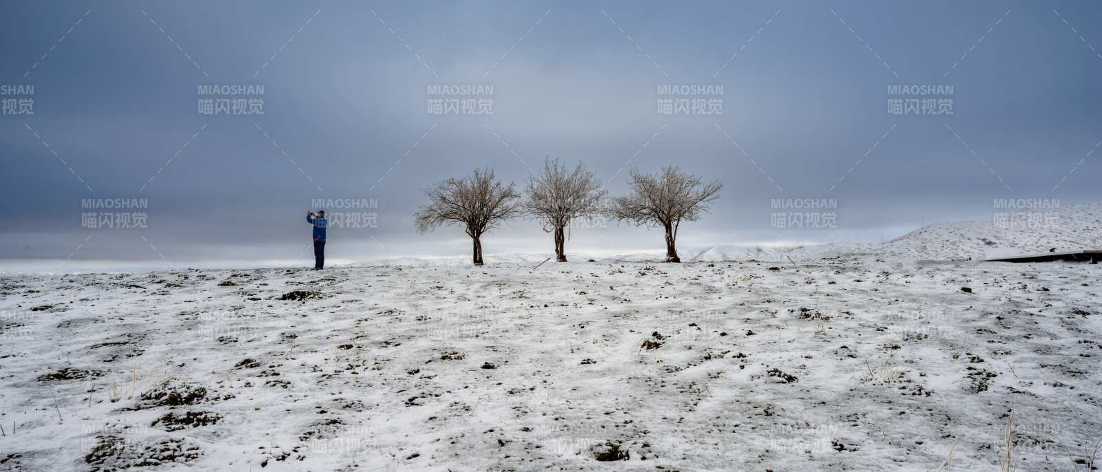 诺尔盖冬季雪地孤影与三树图片