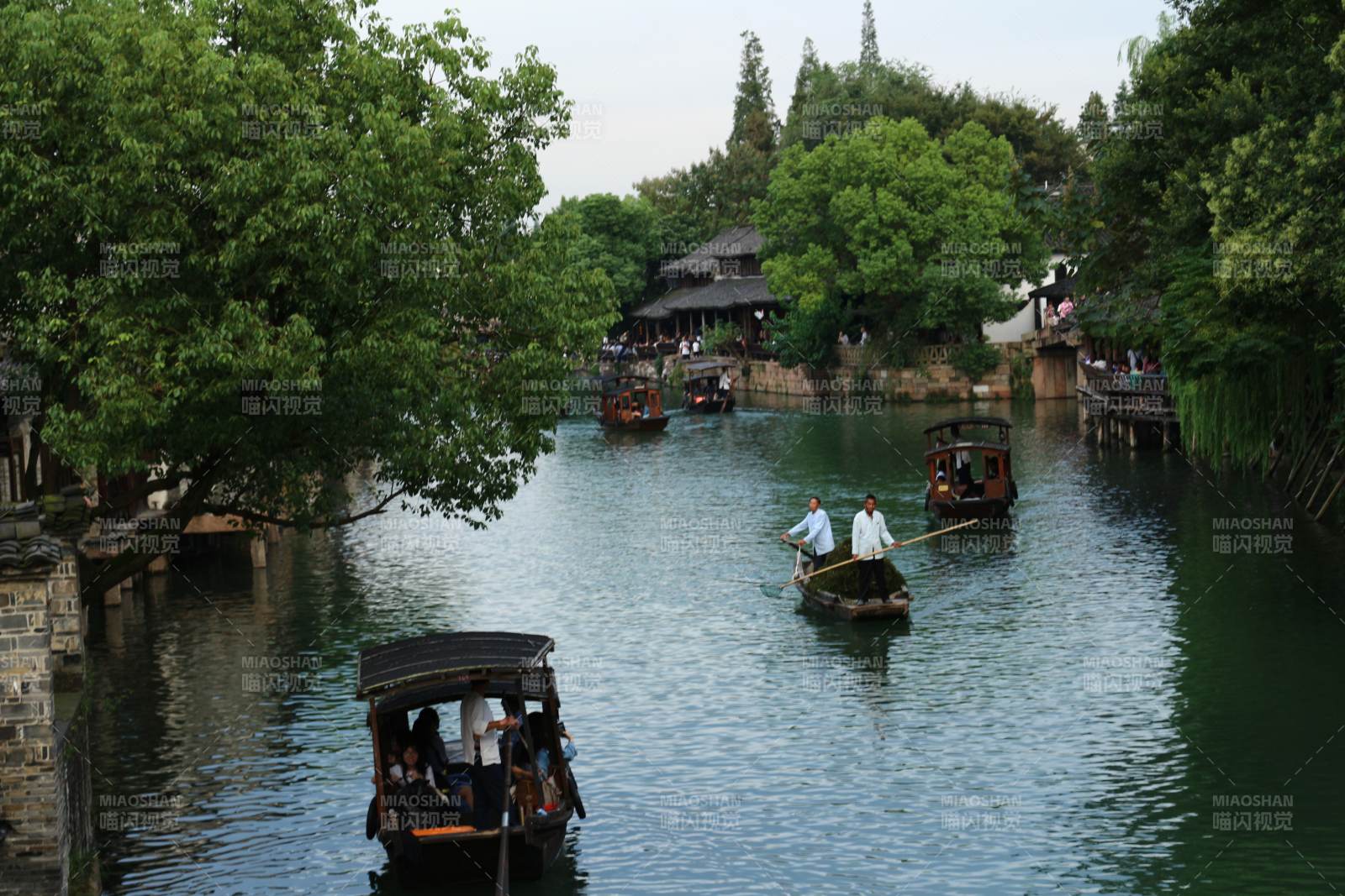 浙江乌镇 水乡古镇 小舟悠悠图片