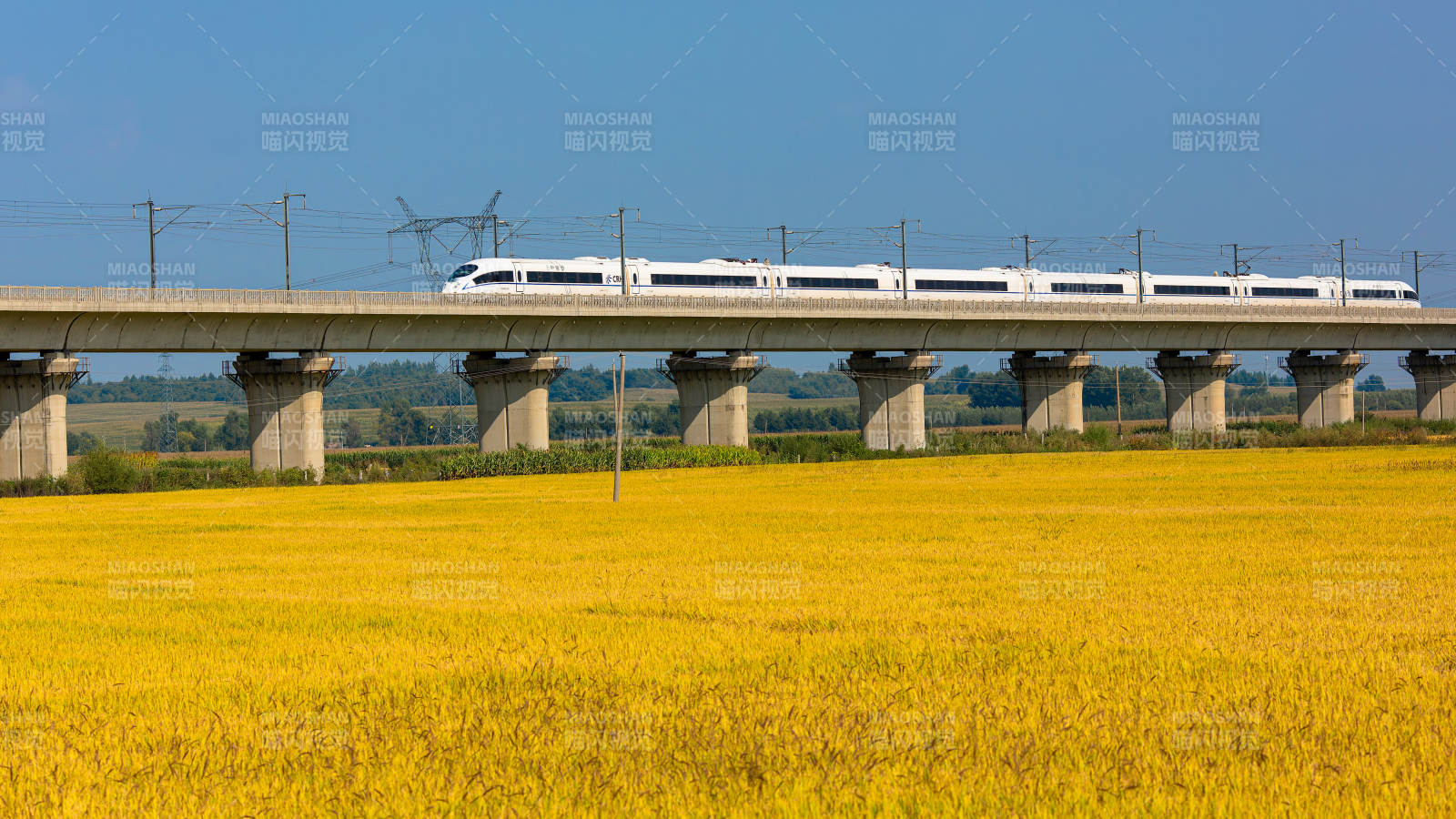 高铁飞驰过田野图片