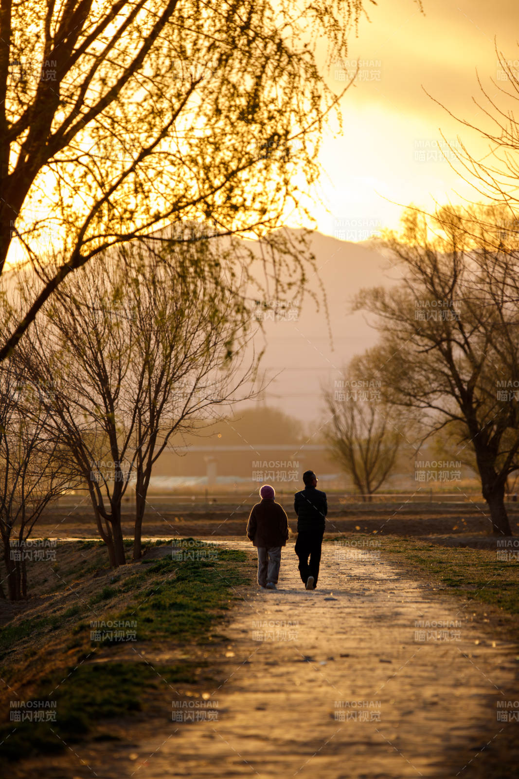 夕阳下散步的两人图片