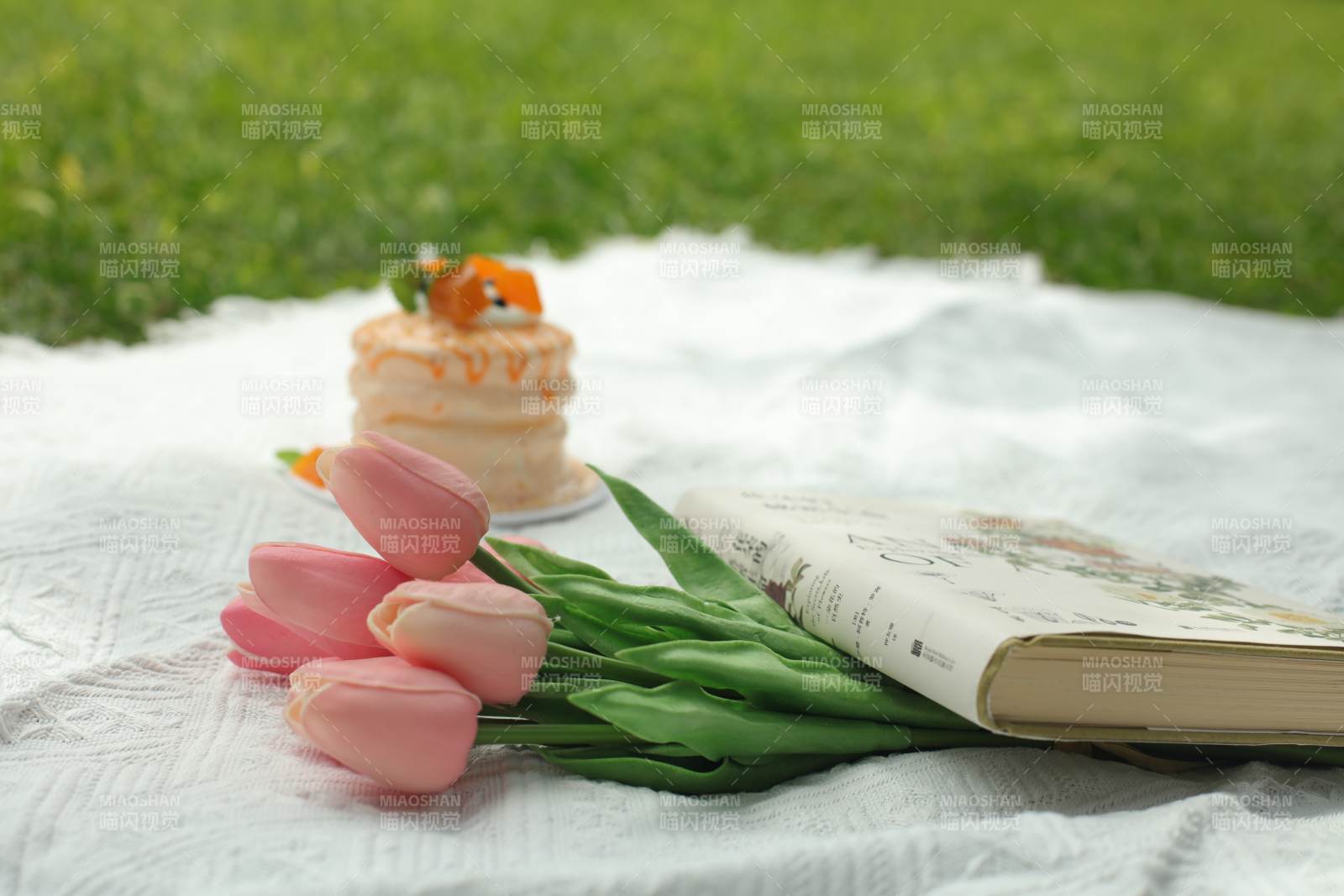 春日野餐 蛋糕与花书图片