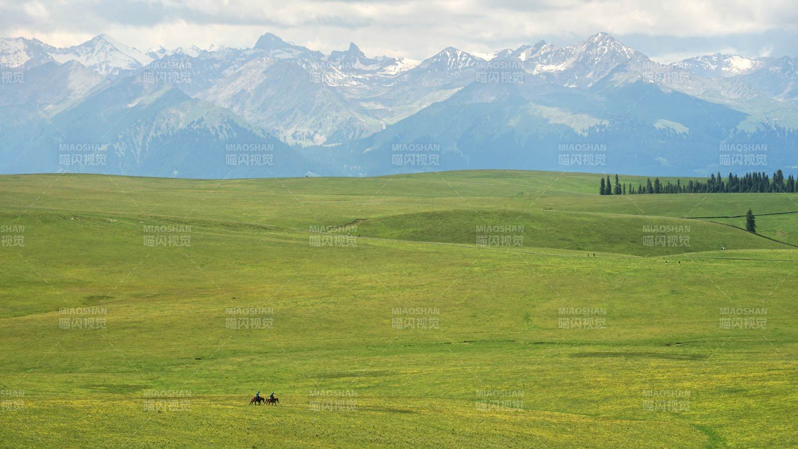 草原上的孤独骑马者图片