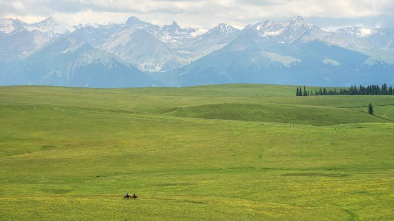 草原上的孤独骑马者图片