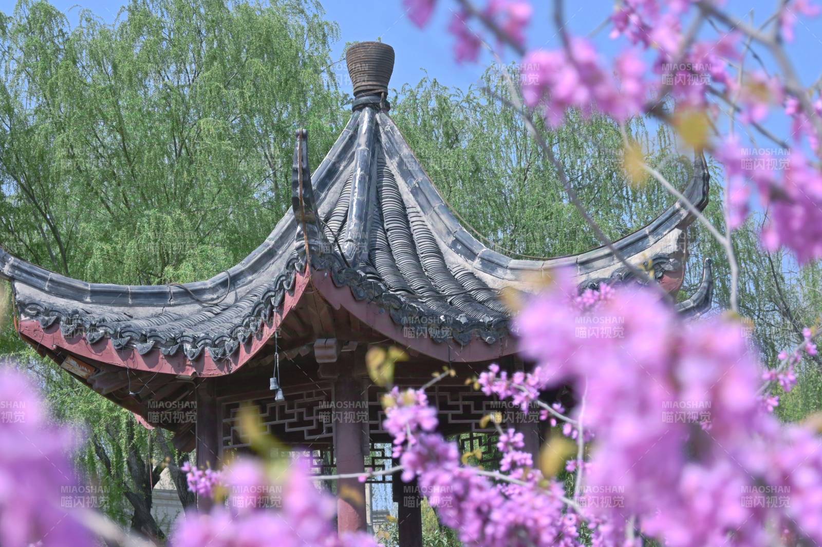 春日花海中的古亭美景图片