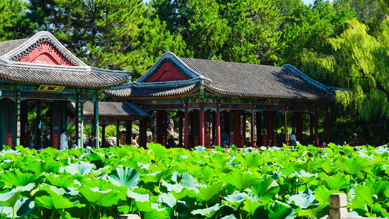 颐和园荷塘边的古典建筑图片
