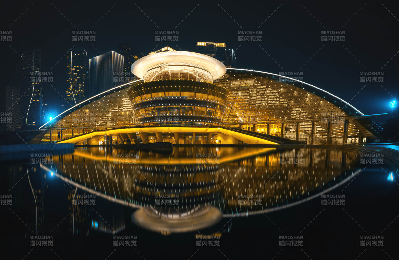 夜景中的杭州大剧院图片